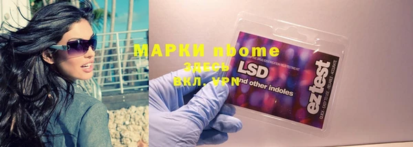тгк Алзамай
