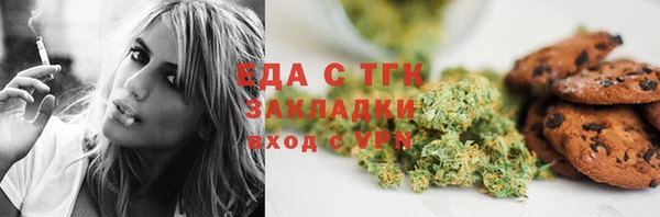 тгк Алзамай