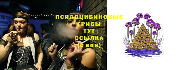 тгк Алзамай