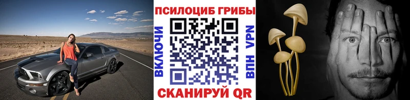 сколько стоит  Заинск  Галлюциногенные грибы MAGIC MUSHROOMS 